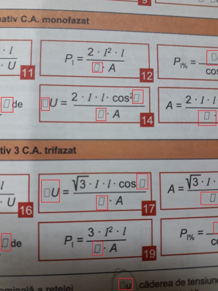 pisici 2.jpg
